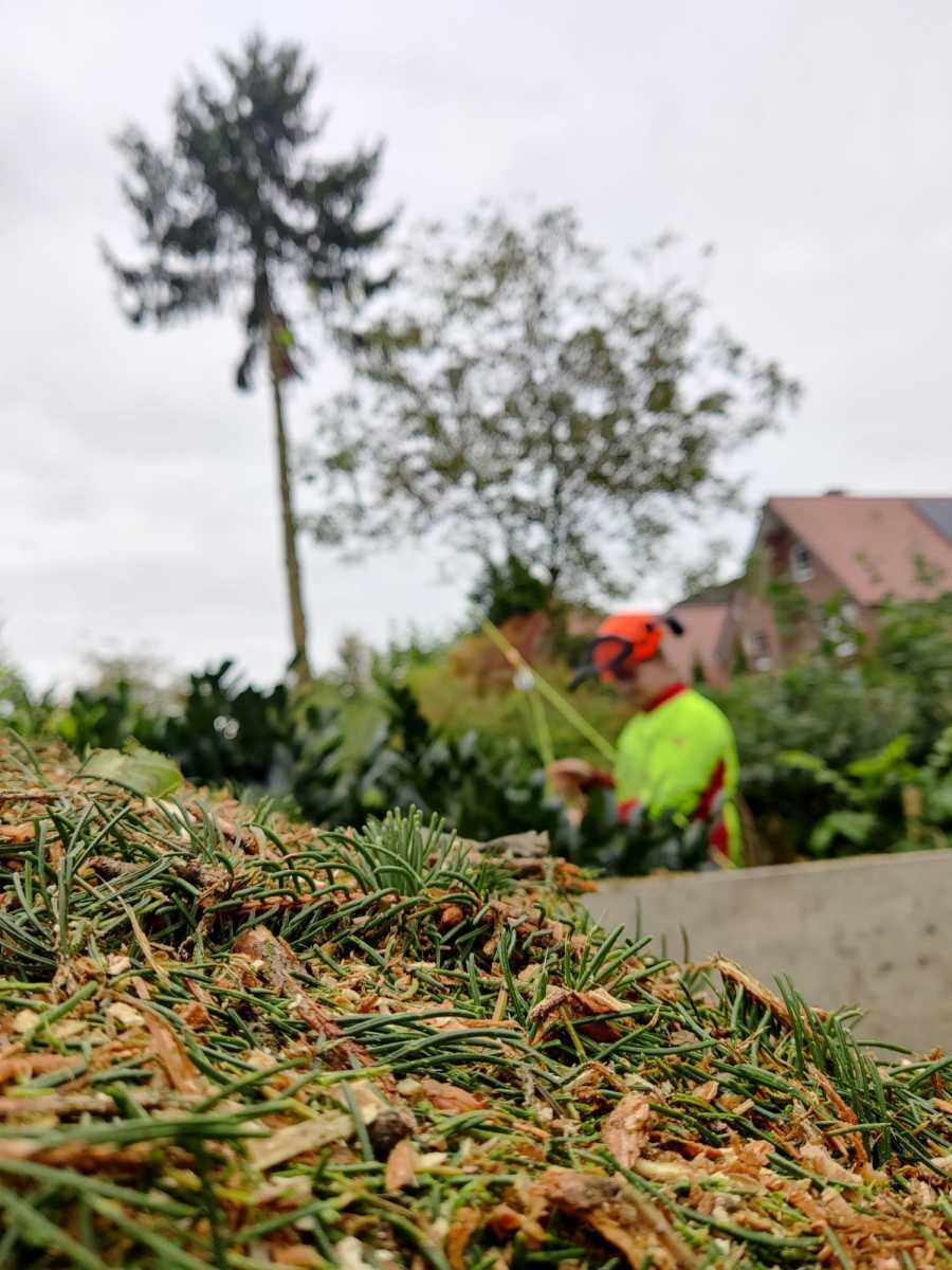 Einsatz mit Sicherheits- und Klettertechnik