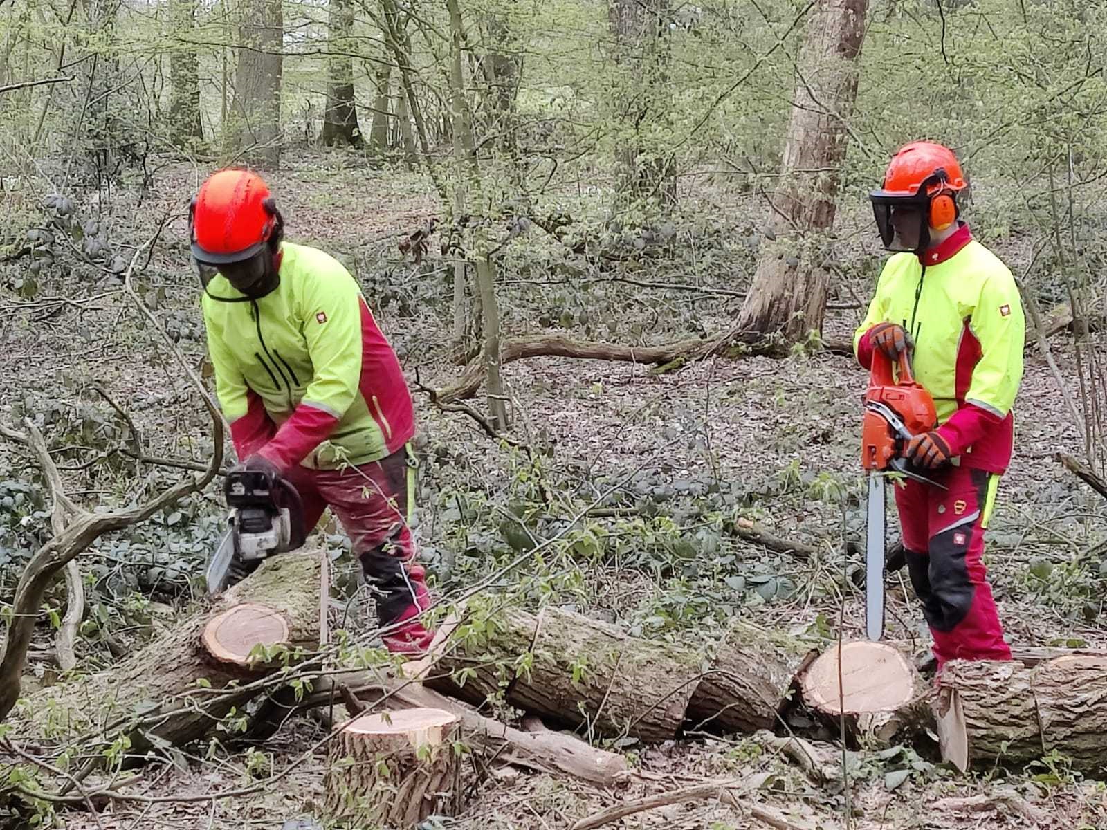 Waldstück im Einsatzgebiet